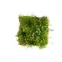 Daktuin element ECO Sedum & Wildflower bovenaanzicht